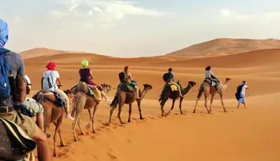 When Is the Best Time for Camel Trekking in Abu Dhabi?