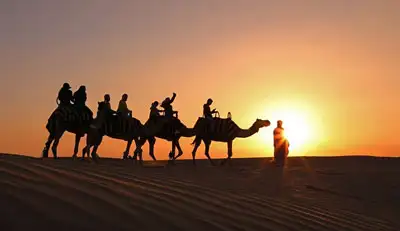 Morning or Evening Camel Trekking - Which Should You Choose?