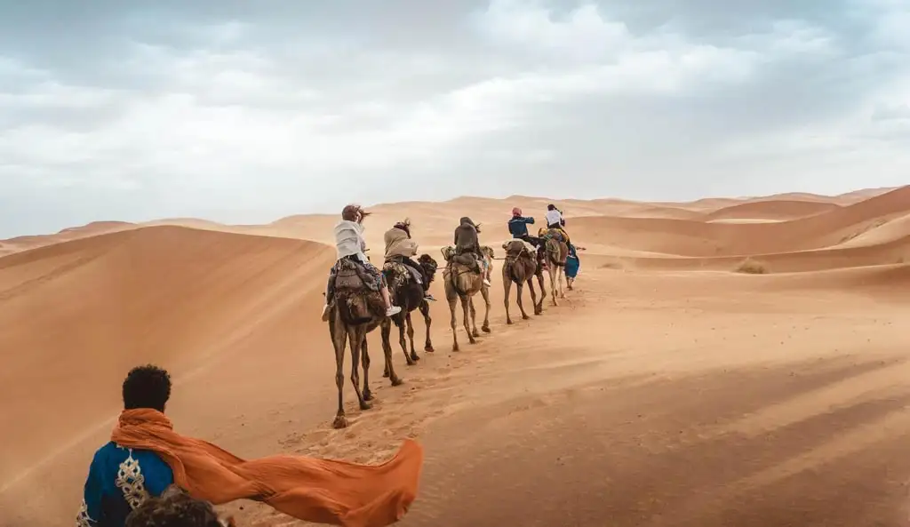 Group of adventurers riding camels in a line across the vast orange sand dunes of Abu Dhabi desert, guided by local experts on a memorable desert camel trekking tour.