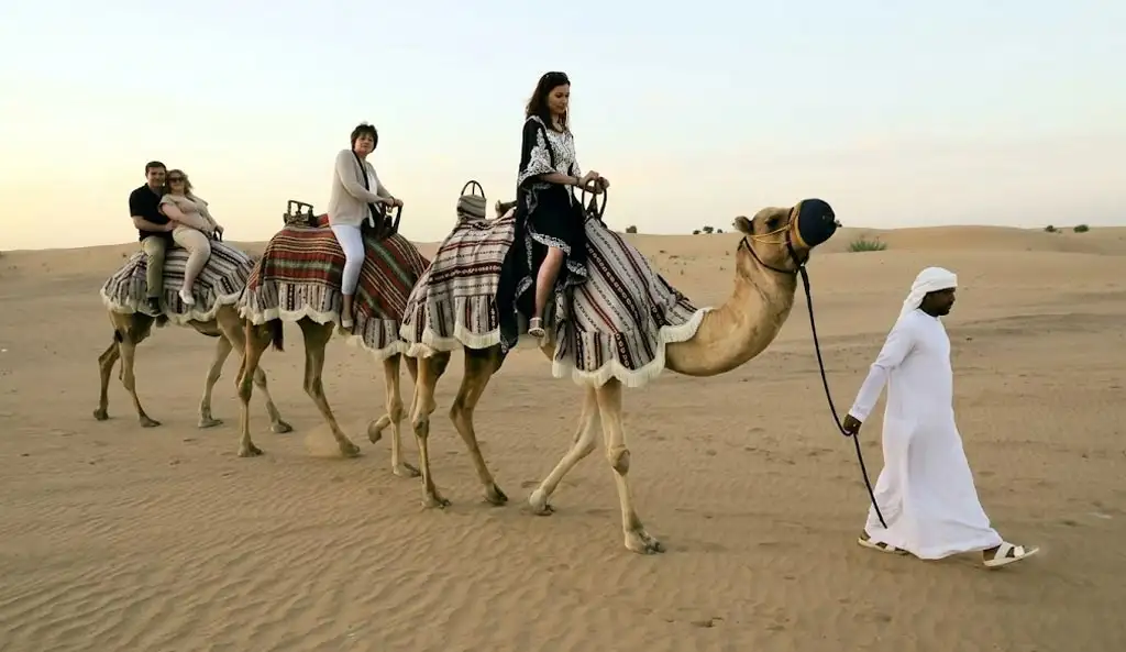 Visitors riding beautifully decorated camels led by a local guide through the stunning Abu Dhabi desert dunes, capturing the classic Arabian desert camel trekking experience.