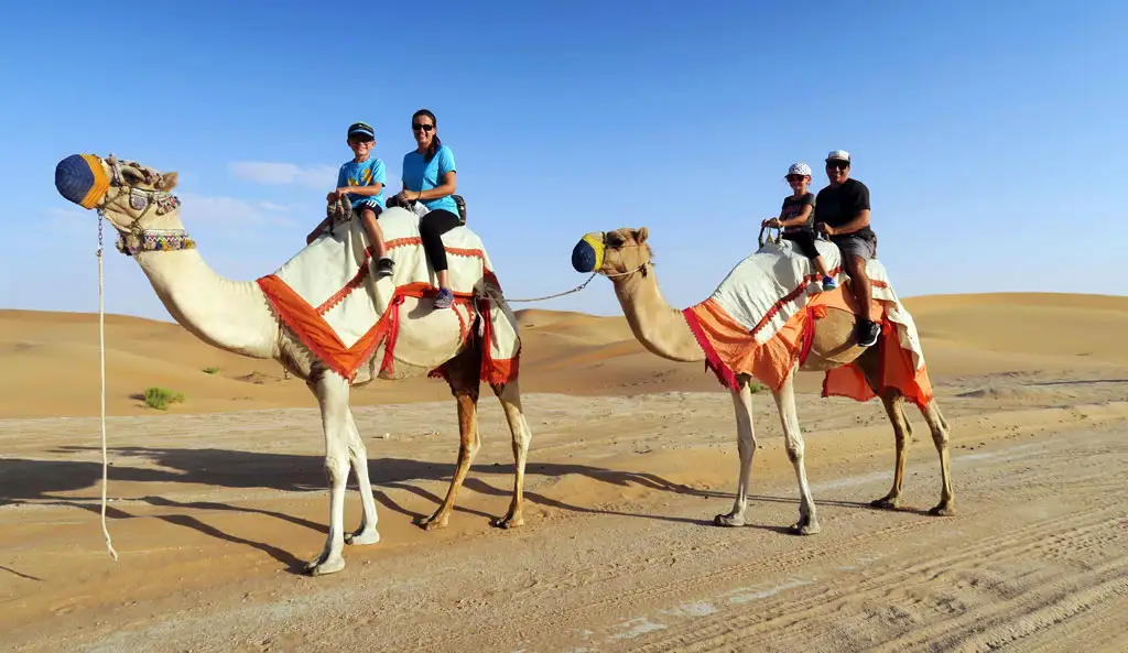 A mother and son riding one camel while a father and daughter ride another during a sunny camel trekking experience in the Abu Dhabi desert. The camels are colorfully saddled against a backdrop of rolling sand dunes.