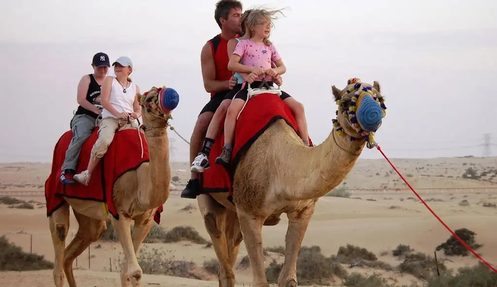 A family with two young children and parents enjoying a camel ride through the Abu Dhabi desert. The camels are decorated with colorful saddles and headgear as they walk across the sandy landscape at golden hour.