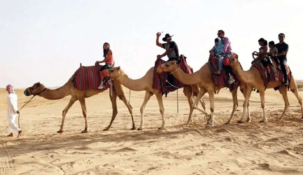 A group of tourists riding camels in a line across the golden sands of the Abu Dhabi desert. A local guide in traditional white attire leads the caravan while riders enjoy the scenic desert trek under a clear sky.