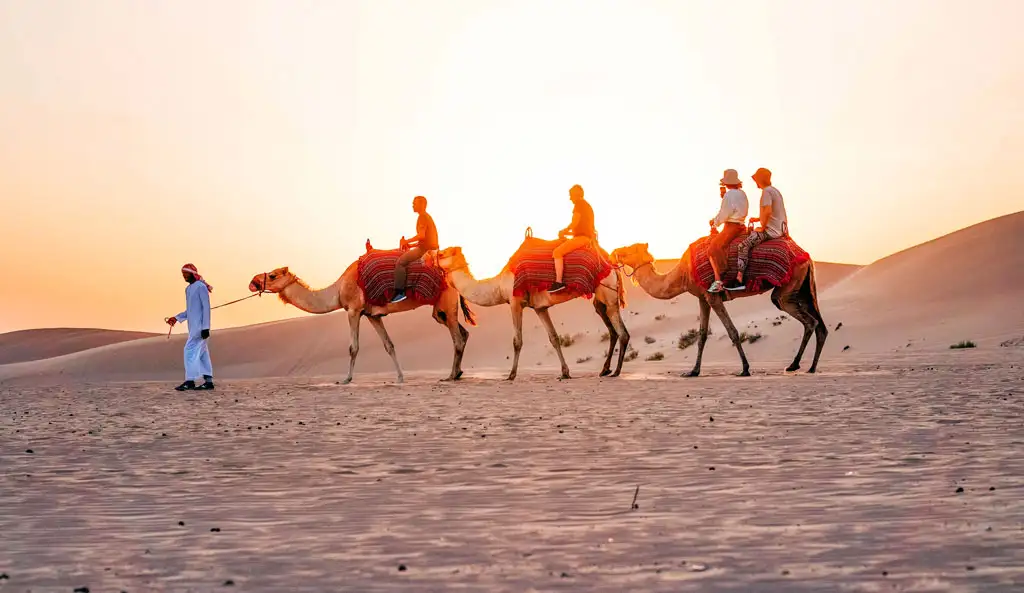 Silhouetted camel riders and a local guide walking across the sand dunes of Abu Dhabi Desert during a beautiful golden sunrise. The warm sunlight creates a stunning silhouette effect against the glowing desert sky.