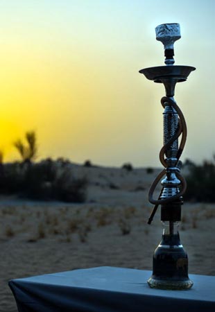 Unlimited Shisha camp activity