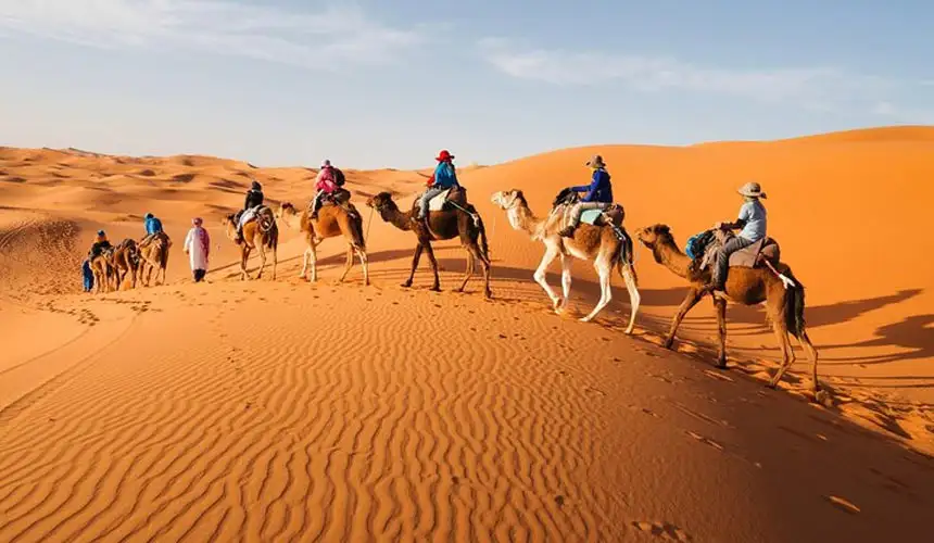 A line of tourists rides camels across Abu Dhabi sand dunes against a pale sunset.