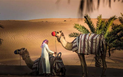 Liwa Overnight Desert Safari