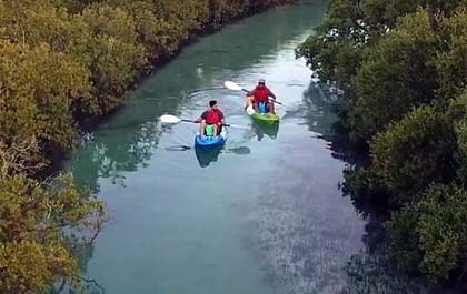 Mangrove Kayak Tour Abu Dhabi