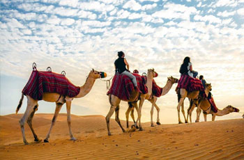 Camel Trekking Abu Dhabi