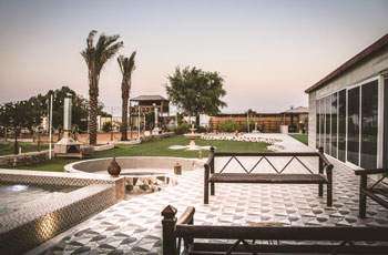 Private Farm House Visit with Evening Desert Safari Abu Dhabi