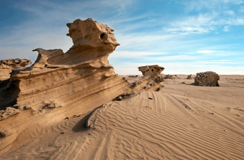 Fossil Rock Tour Abu Dhabi