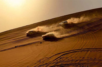 Liwa Full Day Desert Safari