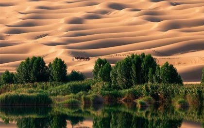 Liwa Full Day Desert Safari