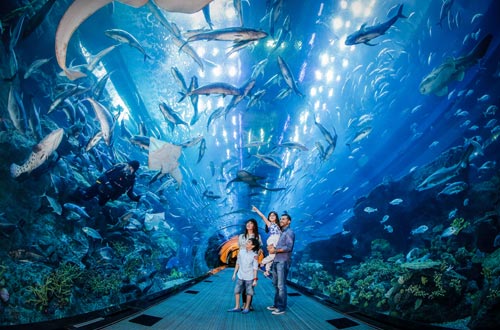 Dubai Aquarium & Underwater Zoo Dubai Tickets