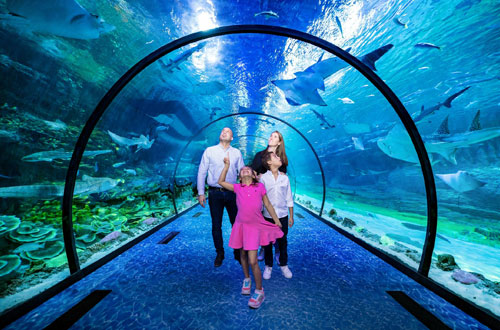 The National Aquarium Abu Dhabi Tickets