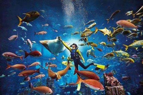 The Lost Chambers Aquarium Dubai Tickets